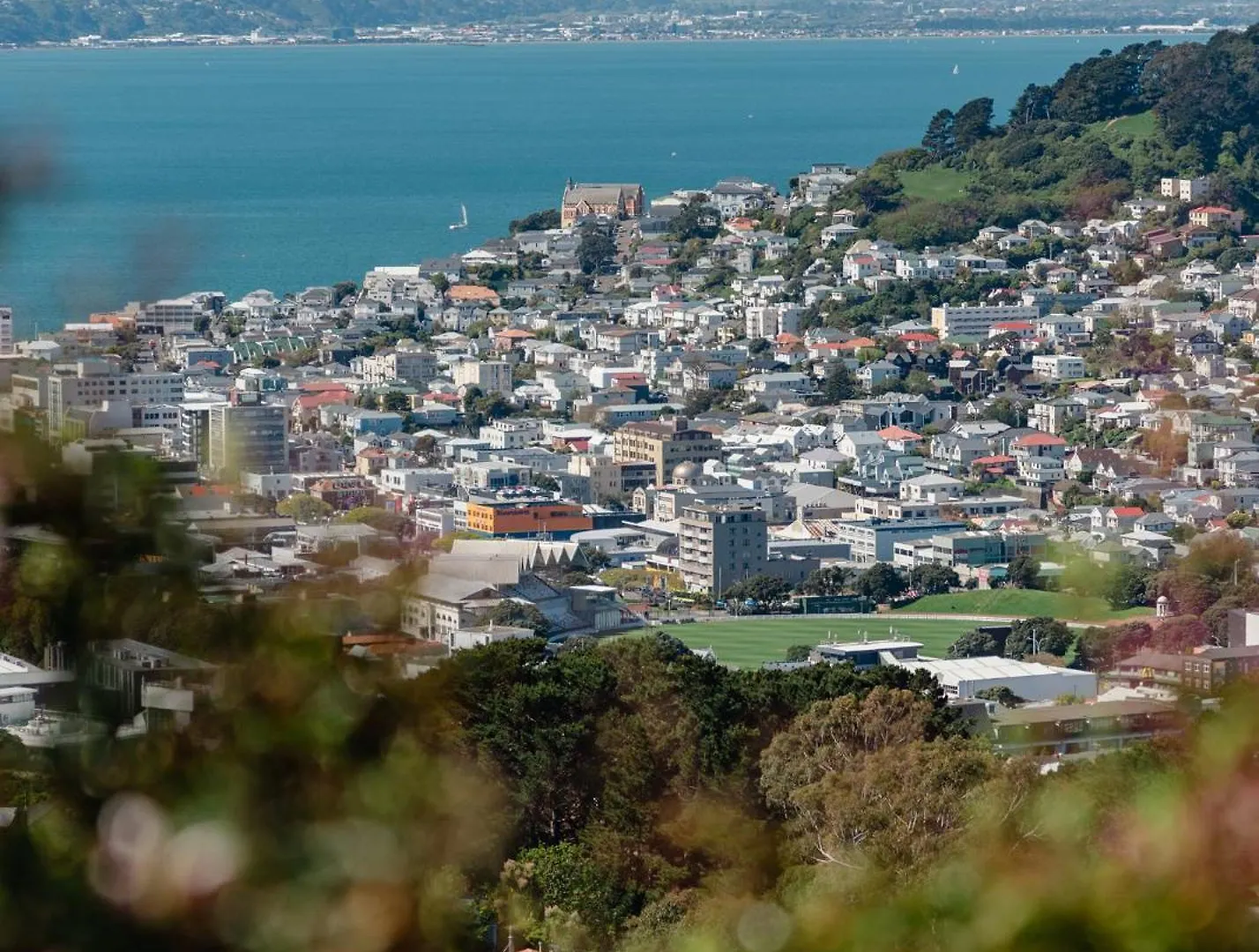 Casa vacanze Urban Oasis With Sauna Wellington