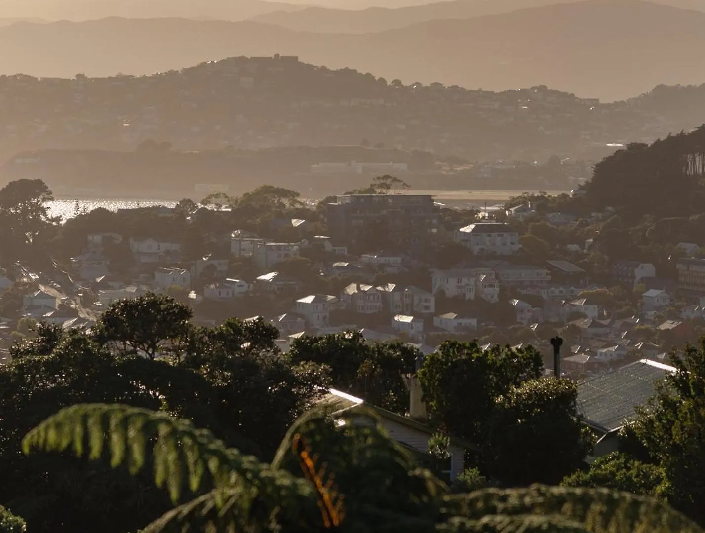 Urban Oasis With Sauna Wellington New Zealand